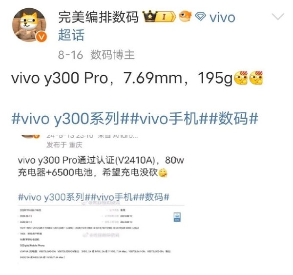 vivo Y300 Pro现身跑分平台 配骁龙6 Gen1 卖多少合适？