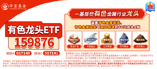 COMEX黄金再刷历史新高！黄金股全线飙升，紫金矿业涨超4%，有色龙头ETF（159876）盘中涨近1%