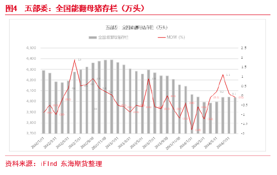 东海期货：生猪养殖四季度或将进入利润快速去化周期