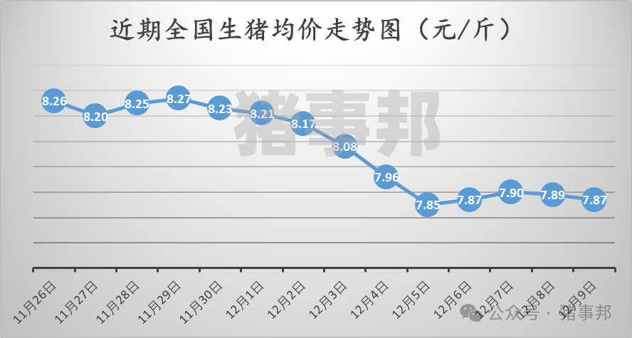 12月9日猪价汇总（北弱南强！）