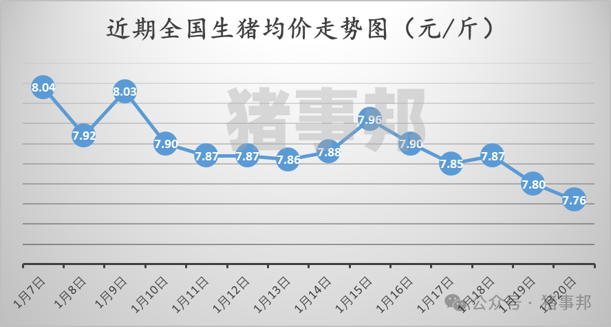 1月20日猪价汇总（多数延续跌势！）